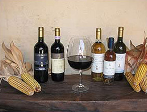 ser_vino